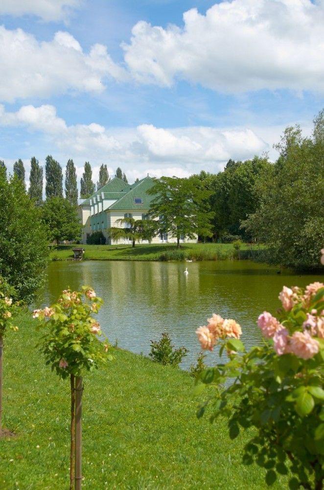 Hotel Restaurant Le Rive Gauche Joigny Zewnętrze zdjęcie